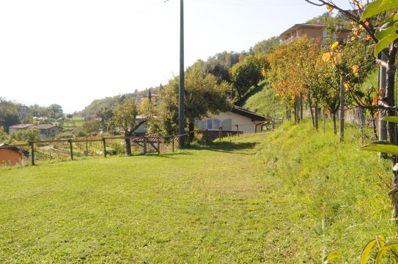 Villetta 56 Blu Yellow And Red Lake View Garden Private Parking By Garda Domus Mea Tremosine Zewnętrze zdjęcie
